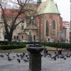 fot. nadesłane