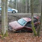 zdjęcie nr 12