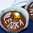 zdjęcie nr 12