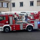 Fotka nr 4 z 8