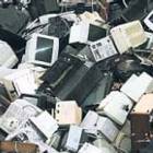 fot. internet