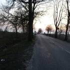 zdjęcie nr 12