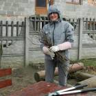 zdjęcie nr 10