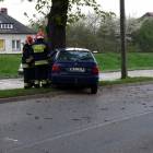 zdjęcie nr 21