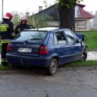 zdjęcie nr 22