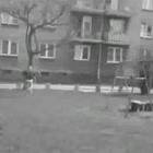 Kadr z filmu