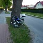 fot. MSz