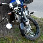 fot. MSz