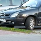 zdjęcie nr 8