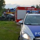 zdjęcie nr 16