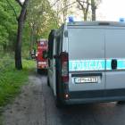 zdjęcie nr 13