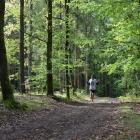 zdjęcie nr 76