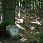 zdjęcie nr 22
