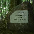 zdjęcie nr 38