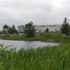 zdjęcie nr 10