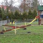 zdjęcie nr 9
