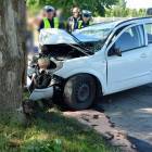 zdjęcie nr 13