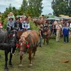 zdjęcie nr 21
