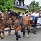 zdjęcie nr 41