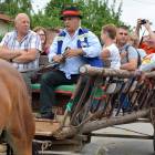 zdjęcie nr 71