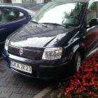 zdjęcie nr 8