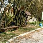 zdjęcie nr 8