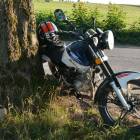 zdjęcie nr 8
