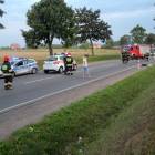 zdjęcie nr 14