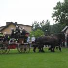 zdjęcie nr 29