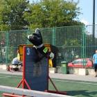 zdjęcie nr 49