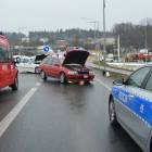 zdjęcie nr 11