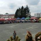 zdjęcie nr 7