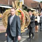 zdjęcie nr 42