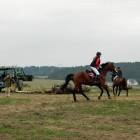 zdjęcie nr 11