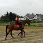 zdjęcie nr 14