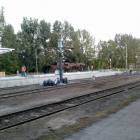 fot. MSz