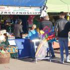 zdjęcie nr 15