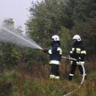 zdjęcie nr 30