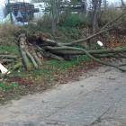 zdjęcie nr 21