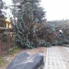 zdjęcie nr 32