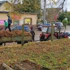 zdjęcie nr 23