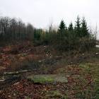 zdjęcie nr 8