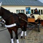 zdjęcie nr 10