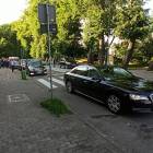 zdjęcie nr 33