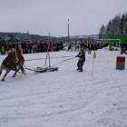 Slalom na szlópie /fot. Longina Templin