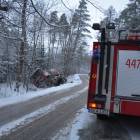 zdjęcie nr 8