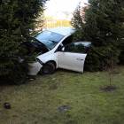 zdjęcie nr 8