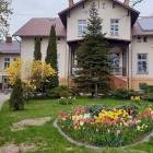 zdjęcie nr 15
