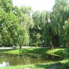 Wkrótce w Kartuzach powstanie duży park miejski /fot. internet