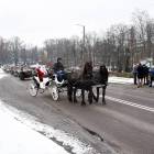 zdjęcie nr 42